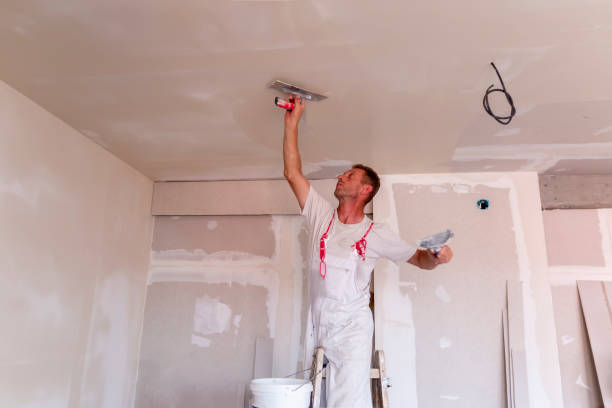 Best Drywall Texturing  in USA